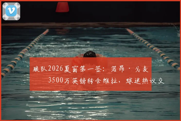 狼队2026夏窗第一签:若昂·戈麦斯3500万英镑转会维拉,球迷热议交易细节