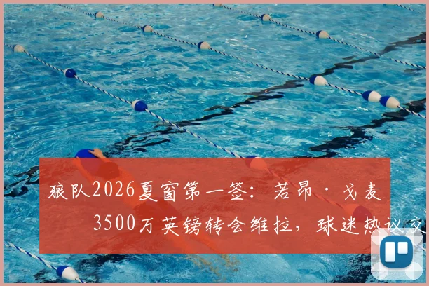 狼队2026夏窗第一签：若昂·戈麦斯3500万英镑转会维拉，球迷热议交易细节