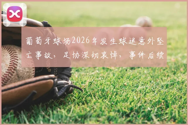 葡萄牙球场2026年发生球迷意外坠亡事故，足协深切哀悼，事件后续与球场安全防范要点解读